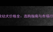 边牧幼犬价格全选购指南与市场行情