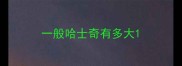 一般哈士奇有多大