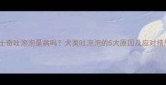 哈士奇吐泡泡是病吗犬类吐泡泡的5大原因及应对措施
