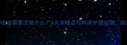 狗狗生病后接种疫苗需要注意什么5大关键点与科学护理指南助您守护爱犬健康