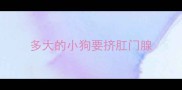 多大的小狗要挤肛门腺
