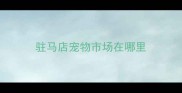 驻马店宠物市场在哪里