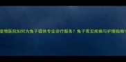 宠物医院如何为兔子提供专业诊疗服务兔子常见疾病与护理指南