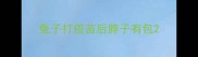 兔子打疫苗后脖子有包