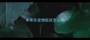 乖乖乐宠物医院怎么样