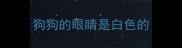 狗狗的眼睛是白色的