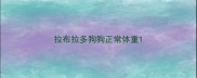 拉布拉多狗狗正常体重