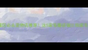 广州黄浦区必去宠物店推荐这5家宝藏店铺让我家毛孩狂喜