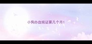 小狗办血统证要几个月