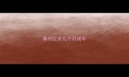 莱州红犬几个月成年