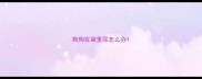 狗狗在窝里尿怎么办
