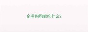 金毛狗狗能吃什么