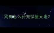 狗狗怎么补充微量元素