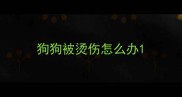 狗狗被烫伤怎么办