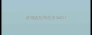 宠物店拉布拉多3600
