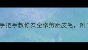 猫咪剃腹毛全攻略手把手教你安全修剪肚皮毛附工具和步骤图解