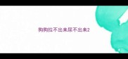狗狗拉不出来尿不出来