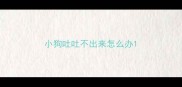 小狗吐吐不出来怎么办