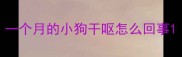 一个月的小狗干呕怎么回事