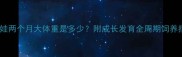 吉娃娃两个月大体重是多少附成长发育全周期饲养指南