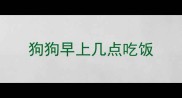 狗狗早上几点吃饭