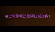 哈士奇像狼还是阿拉斯加像