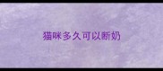 猫咪多久可以断奶