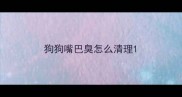狗狗嘴巴臭怎么清理