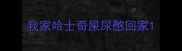 我家哈士奇屎尿憋回家