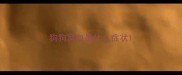 狗狗窝血是什么症状
