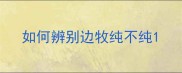 如何辨别边牧纯不纯