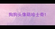 狗狗头像萌哈士奇