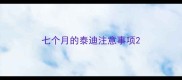 七个月的泰迪注意事项