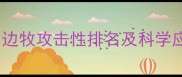 边境牧羊犬咬人真相边牧攻击性排名及科学应对指南附训练视频