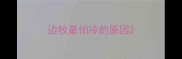 边牧最怕冷的原因