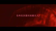 拉布拉多喜欢挨着主人