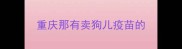 重庆那有卖狗儿疫苗的