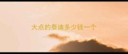 大点的泰迪多少钱一个