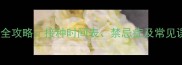 狗狗必打狂犬疫苗全攻略接种时间表禁忌症及常见误区附最新指南