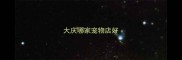 大庆哪家宠物店好