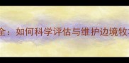 边牧骨量健康全如何科学评估与维护边境牧羊犬骨骼发育