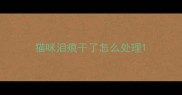 猫咪泪痕干了怎么处理