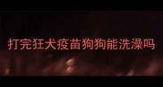 打完狂犬疫苗狗狗能洗澡吗