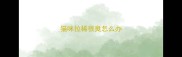猫咪拉稀很臭怎么办