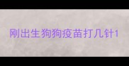 刚出生狗狗疫苗打几针