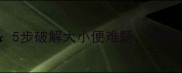 狗狗如厕训练全指南5步破解大小便难题90新手家长都忽略的细节