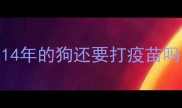 14年的狗还要打疫苗吗