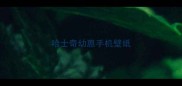 哈士奇幼崽手机壁纸