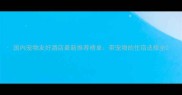 国内宠物友好酒店最新推荐榜单带宠物的住宿选择全