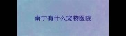 南宁有什么宠物医院